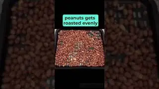 Roasting Peanuts Made Easy Without Monitoring in Airfryer!! #shorts #youtubeshorts #peanutroasting