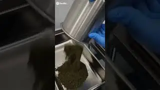 Infused Flower Using FlackTek&trade;