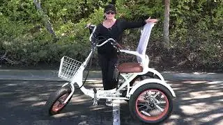 Custom Style E-Trike: Answers Your Top Queries: Colors, Designs & Personalization of Electric Trikes