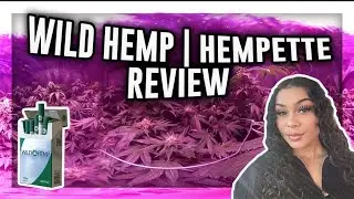 Wild Hemp | Hempettes Review | No Tobacco | CBD Cigarette