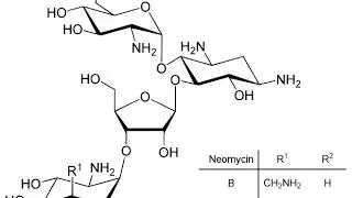 Neomycin | Wikipedia audio article