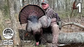 GEORGIA TURKEY HUNTING GOBBLER Right off the ROOST