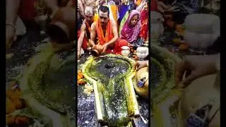Rudra sooktham #babakajalabhishek #jaibababaijnath #Rudrasooktham #youtubeshorts #jaiswalprodution