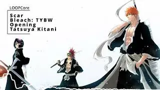 Bleach TYBW OP1: 