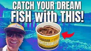 Surprise catch of an elusive fish using this effective  bait! Cordell Hull Dam TN