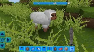 Terra Craft: Build Your Dream Block World Gameplay #4 | Survival Mode