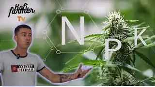 Engrais NPK, Cannabis plantes, organiques ou min&eacute;raux ? Culture, agriculture & biodiversit&eacute;