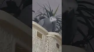 Развеселилась: все исправить надо!