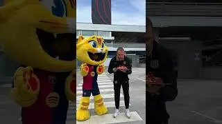 CAT congrats Flick on his 60th birthday! 🎂🐱 #fcbarcelona #shorts #cat #flick