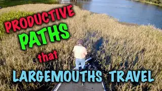 Productive Paths that Largemouths Travel