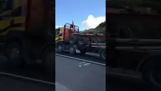Rob Dahm logging