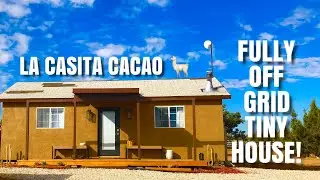 Old Shed Fully Renovated into a Luxurious Tiny House Airbnb!