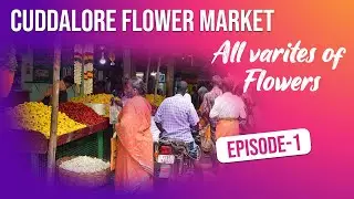 Cuddalore flower market tour | Episode 1 | 4k | Cuddalore | onam festival Special