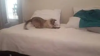 Simon with dental floss