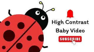 Baby Sensory | High contrast video for newborn Brain Development| Early Brain Stimulation for Babies