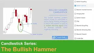 Candlestick Series | The Bullish Hammer | Reversal Pattern