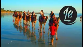 The World's Best Holidays |  Mid Coast NSW Treehouse Villas  |  LUXURY ESCAPES