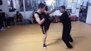 Sanda Wushu Brasil - Sistema IPKF