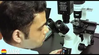 Laxco, Inc. SLi3Pro Inverted Microscope