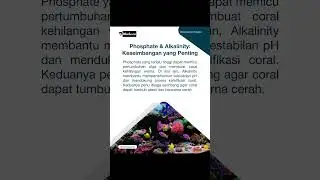 Siap jaga stabilitas akuarium kamu hari ini?#Reef #reeftank #reefaquarium #coralreef #reefaddict