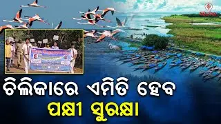 Chilika Bird Protection Plan Revealed | How Odisha Will Save Migratory Birds
