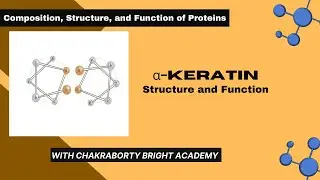alpha- Keratin II Structure and Function