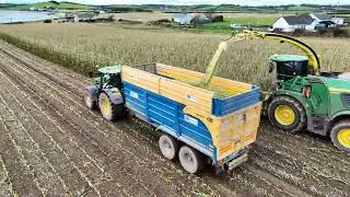 Porter contracts maize 2024
