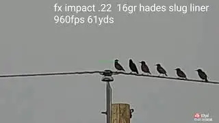 JSB hades .22