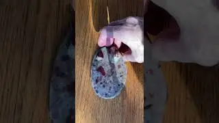 Unleash the Mystery Behind Michigan's Puddingstones 🤔