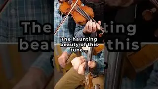 Learn to play Sally Ann #fiddle  #violin  #musiclessons  #fiddletunes #musictutorial #classical
