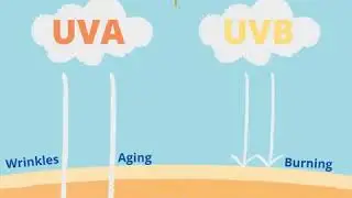 Do you know what are the differences between UVA & UVB rays?