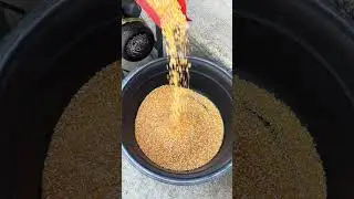GAWA TAYO NG CRACK CORN, CORN GRITS!