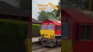 Class 66 freight train DB 66055 Alain Thauvette giving nice tones #train #freighttrain