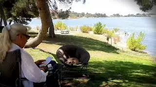 Blessing of Truth reads Words are your servants by Charles Capps by the Lakeside scenery video