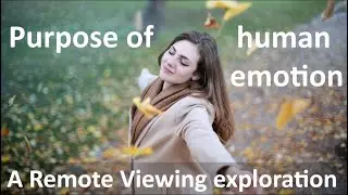 The Purpose of Human Emotion: a Remote Viewing exploration