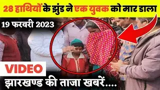 28 🐘 हाथियों ने 1 युवक को मार डाला || Jamtara News || News Jharkhand || Jharkhand News Today || 🐘🐘