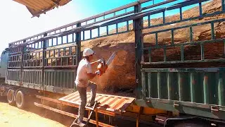 Amazing Sawmill Wood Cutting Super Huge Old Tree Saws And Unexpected Values | Enduring Timbereraft
