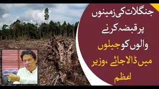 Revival of Forests, campaign takes off under leadership of PM