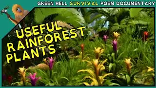 A Survivor's Guide to Rainforest Flora | Green Hell Nature Documentary 1 | Tales of Mother Earth