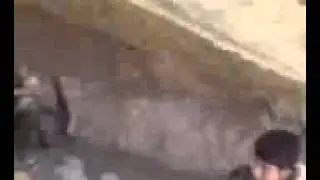 kureke zor dang xosh