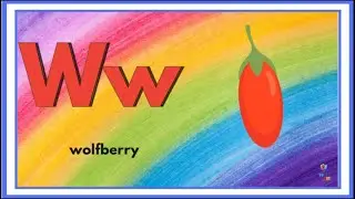 Learn Alphabet W | Draw and Color Wolfberry | Alphabet Objects for Toddlers