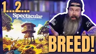 Spectacular Board Game Review - Tile and Dice Drafting Extraordinaire!
