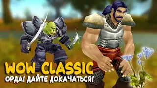 PvP фаза наступила! Прокачка в жестких ганках! Взять 60 на WoW Classic