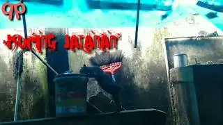 Save Kucing Puisi Sedih Rebas Kucing Jalanan By PP