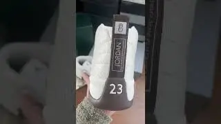 Air Jordan 12 Retro SP SoleFly Cafecito FZ5026 100