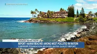 Hawaii has some of the most polluted beaches in the country