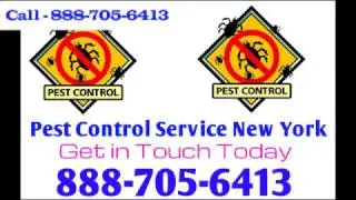 New York Exterminator - 24 7 Pest Control Exterminator Service NYC