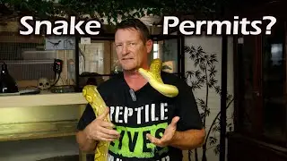 Why Reptile Bans and Permits Are Almost NEVER Justified