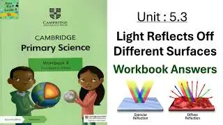 Cambridge primary science grade 4|5.3| light reflects off different surfaces| workbook answers