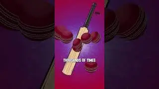 Why do cricket bats have to be knocked in?